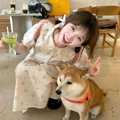 赛马娘