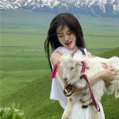 家族的旅途